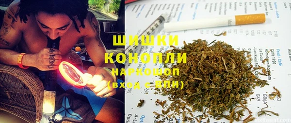 меф Арсеньев