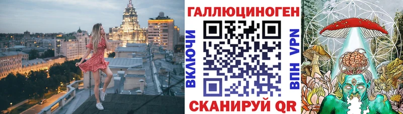 Галлюциногенные грибы Psilocybe Осинники